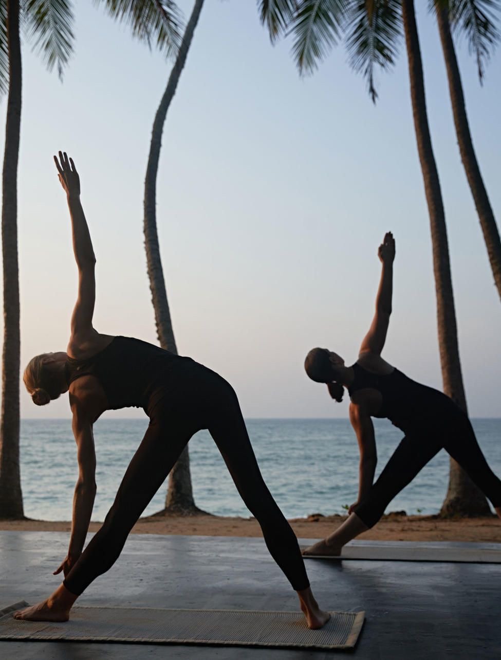 Vion quality — private luxury travel Sri Lanka